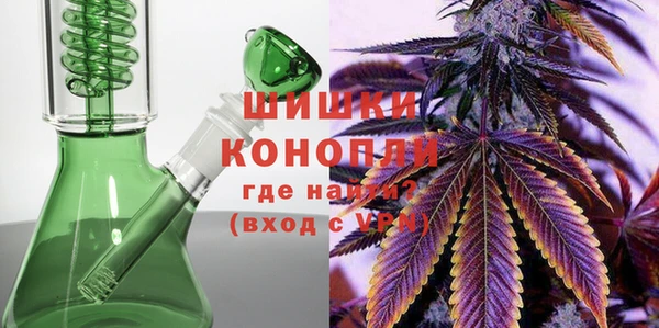 шишки Горняк